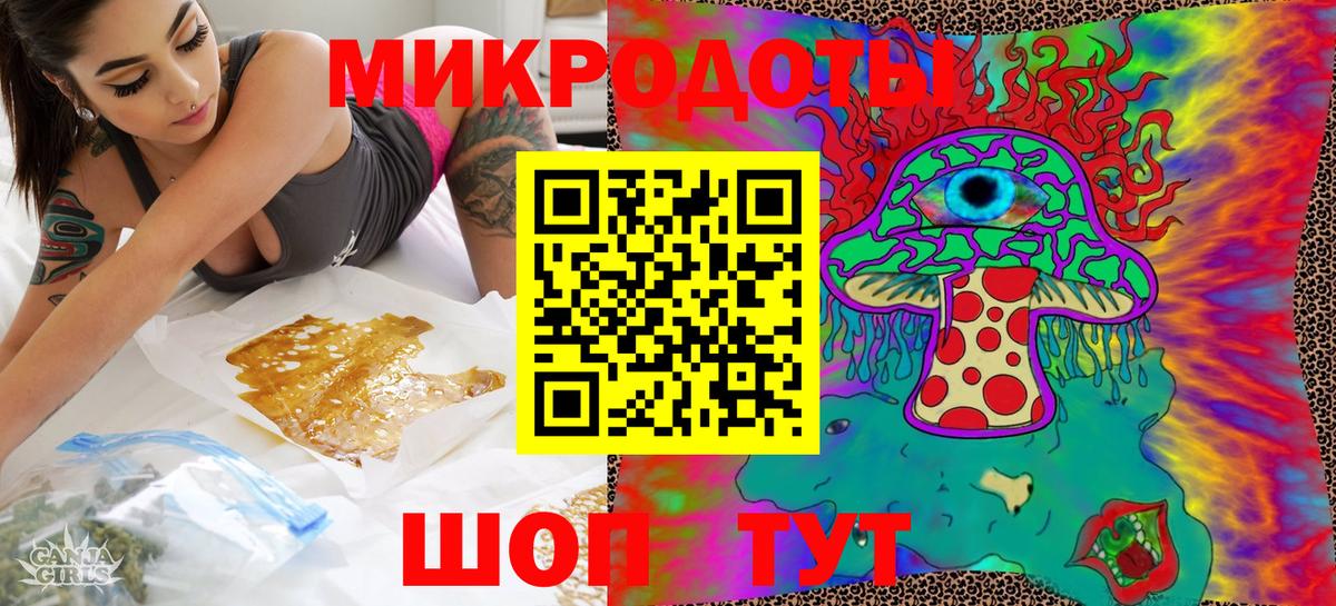 Галлюциногенные грибы Psilocybe Омск